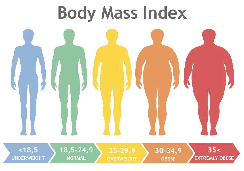 Body Mass Index Chart